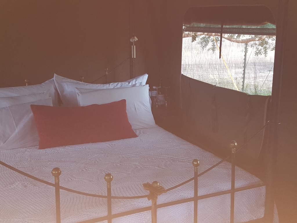 Hoopenburg Guesthouse Klapmuts 外观 照片
