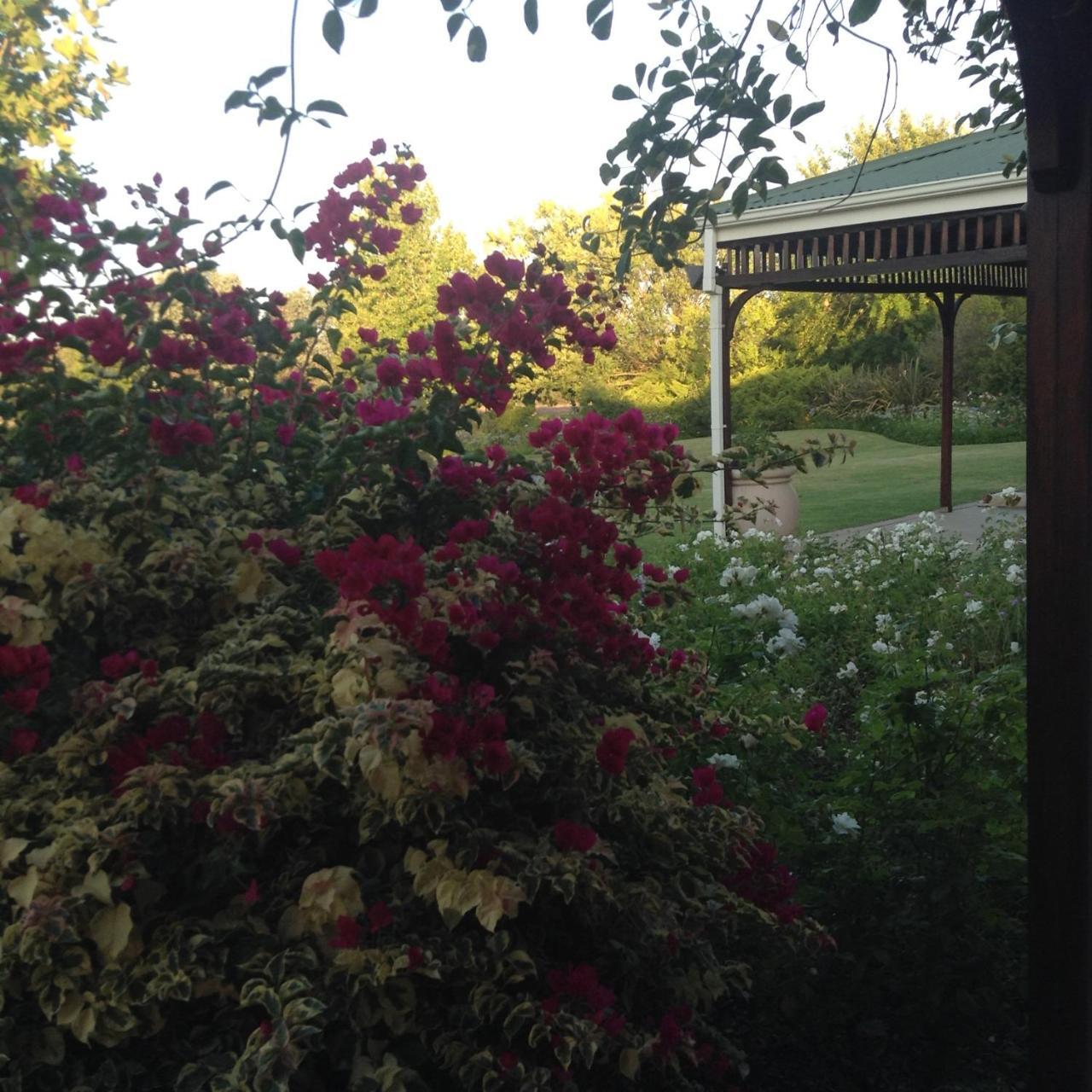 Hoopenburg Guesthouse Klapmuts 外观 照片